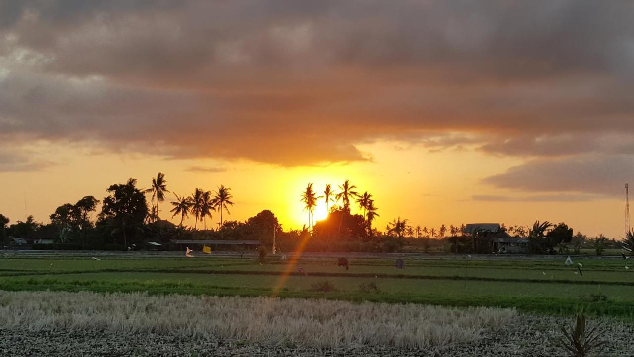 Segara Urip * Negara (Bali)