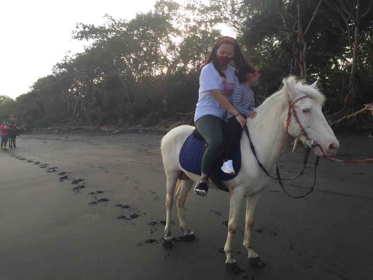 Segara Urip Homestay Negara (Bali)