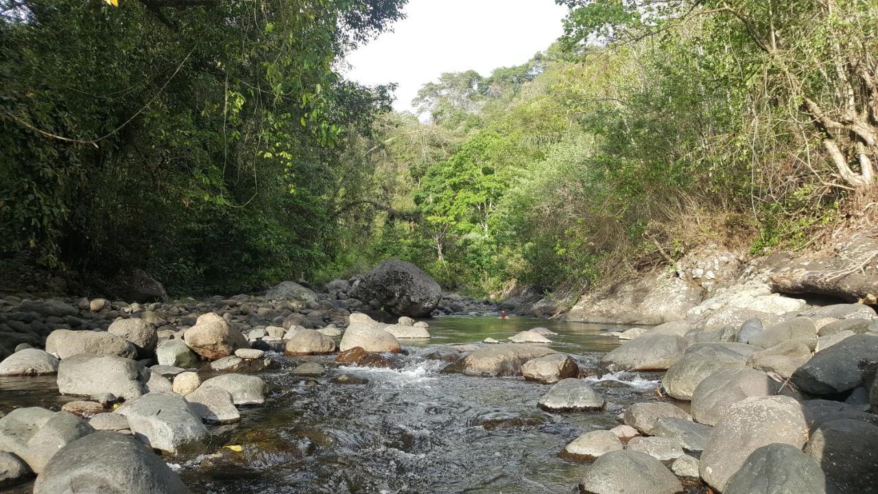 Segara Urip Negara (Bali)