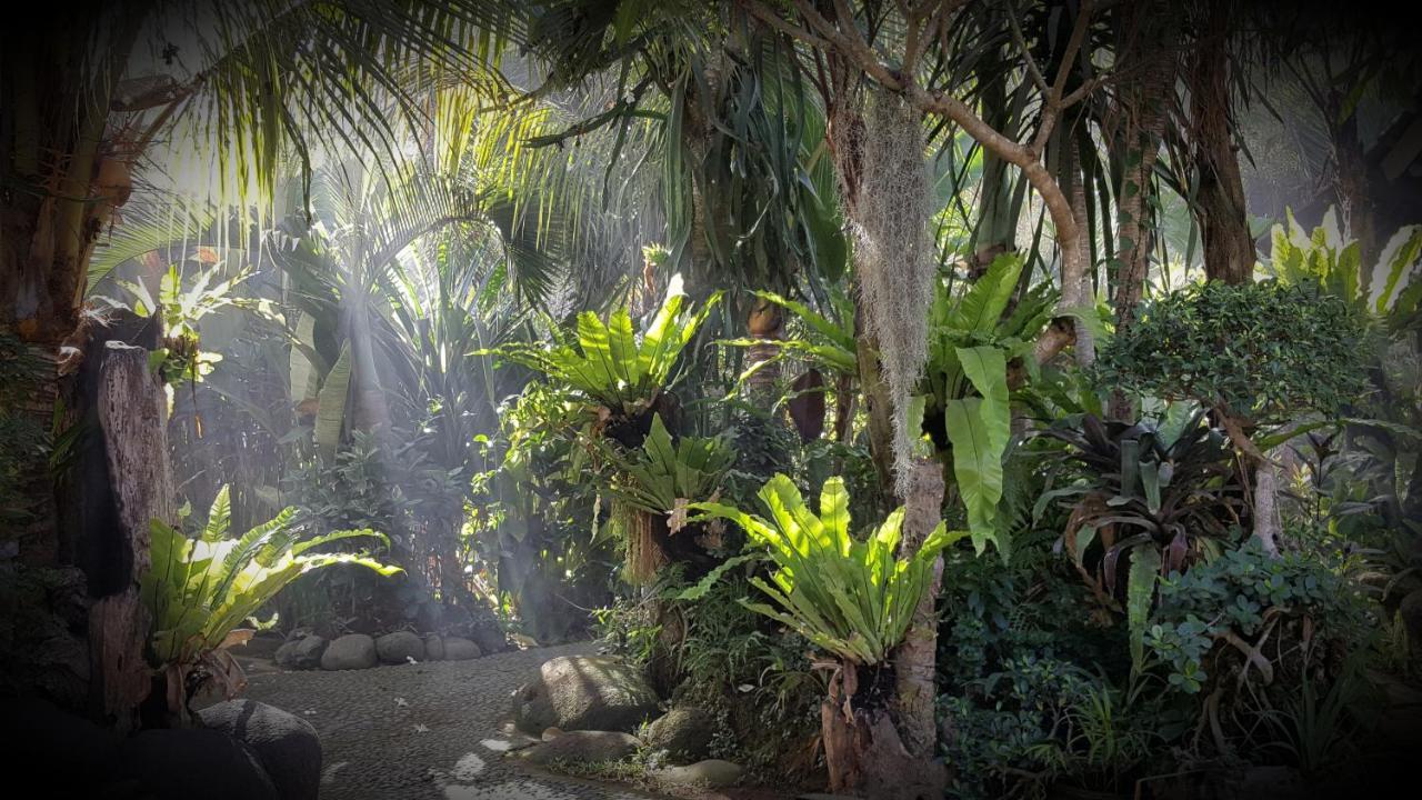 Segara Urip Homestay Negara (Bali)