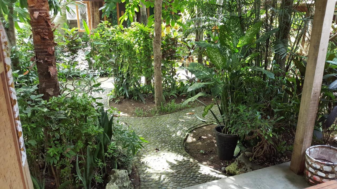 Segara Urip Homestay Negara (Bali)