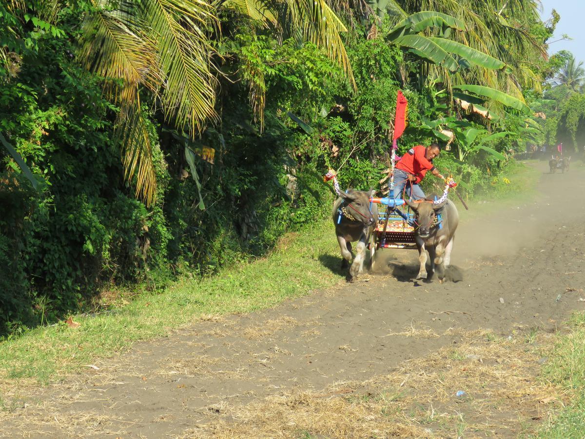 Segara Urip Homestay
