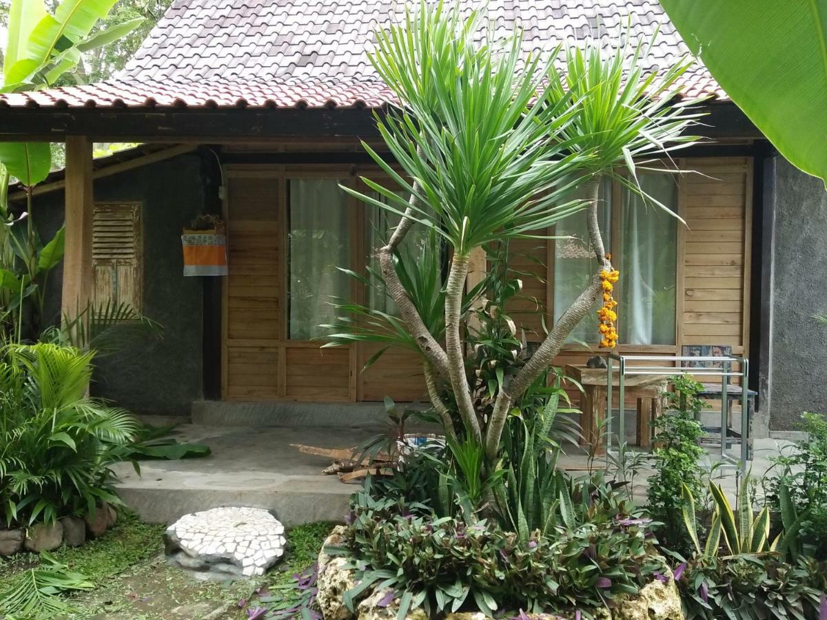 Homestay Segara Urip Negara (Bali)